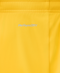 Шорты вратарские JOGELPerFormDRY National 26 GK Shorts, желтый