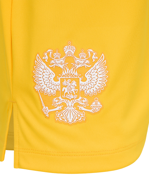 Шорты вратарские JOGELPerFormDRY National 26 GK Shorts, желтый