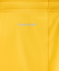 Шорты вратарские JOGELPerFormDRY National 26 GK Shorts, желтый