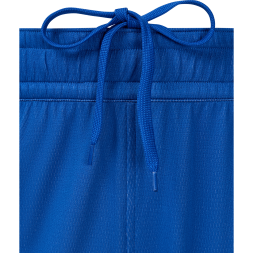 Шорты двухсторонние JOGEL DIVISION PerFormDRY Double-side Shorts, синий/белый