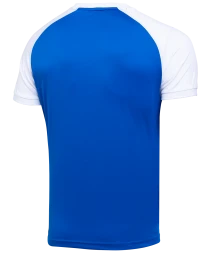 Футболка игровая JOGEL CAMP Reglan Jersey, синий/белый, детский