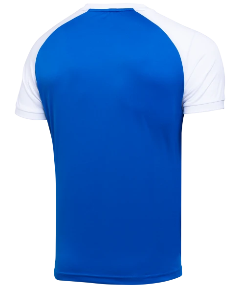 Футболка игровая JOGEL CAMP Reglan Jersey, синий/белый, детский