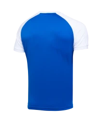 Футболка игровая JOGEL CAMP Reglan Jersey, синий/белый, детский