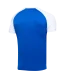 Футболка игровая JOGEL CAMP Reglan Jersey, синий/белый, детский