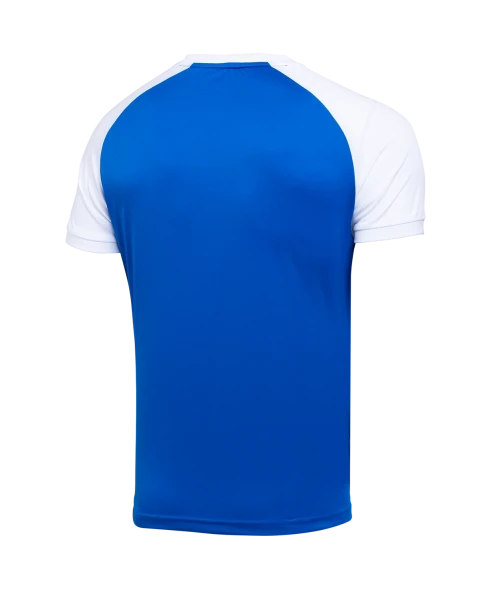 Футболка игровая JOGEL CAMP Reglan Jersey, синий/белый, детский