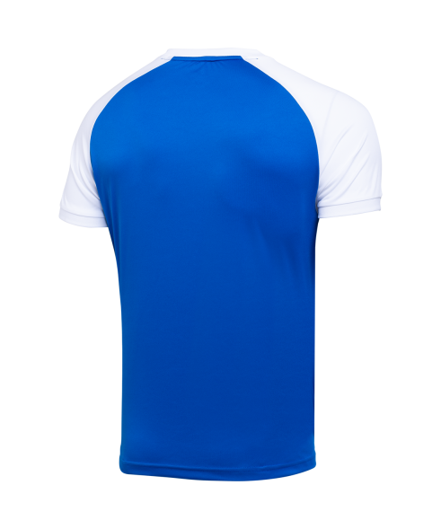 Футболка игровая JOGEL CAMP Reglan Jersey, синий/белый, детский