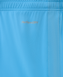 Шорты игровые JOGEL DIVISION PerFormDRY Union Shorts, голубой