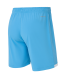 Шорты игровые JOGEL DIVISION PerFormDRY Union Shorts, голубой
