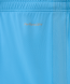 Шорты игровые JOGEL DIVISION PerFormDRY Union Shorts, голубой