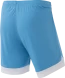 Шорты игровые JOGEL DIVISION PerFormDRY Union Shorts, голубой/белый/белый