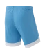 Шорты игровые JOGEL DIVISION PerFormDRY Union Shorts, голубой/белый/белый