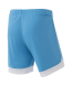 Шорты игровые JOGEL DIVISION PerFormDRY Union Shorts, голубой/белый/белый