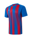 Футболка игровая JOGEL CAMP Striped Jersey, красный/синий