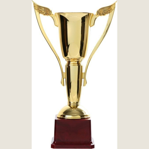 Кубок 181B, зол., подставка пластик, 28 × 14 × 7 см