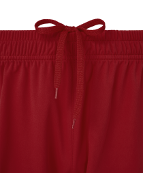 Шорты игровые JOGEL DIVISION PerFormDRY Union Shorts, гранатовый, детский