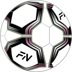 Футзальный мяч  FN Futsal Ball