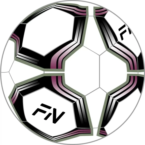 Футзальный мяч  FN Futsal Ball
