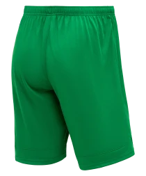 Шорты игровые JOGEL DIVISION PerFormDRY Union Shorts, зеленый