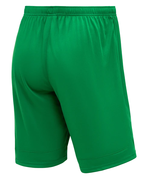 Шорты игровые JOGEL DIVISION PerFormDRY Union Shorts, зеленый