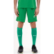 Шорты игровые JÖGEL DIVISION PerFormDRY Union Shorts, зеленый