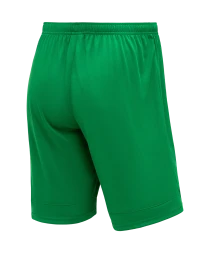 Шорты игровые JOGEL DIVISION PerFormDRY Union Shorts, зеленый