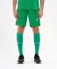 Шорты игровые JOGEL DIVISION PerFormDRY Union Shorts, зеленый
