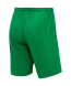 Шорты игровые JOGEL DIVISION PerFormDRY Union Shorts, зеленый