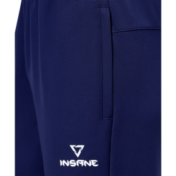 Брюки парадные INSANE RBF, синий, детский