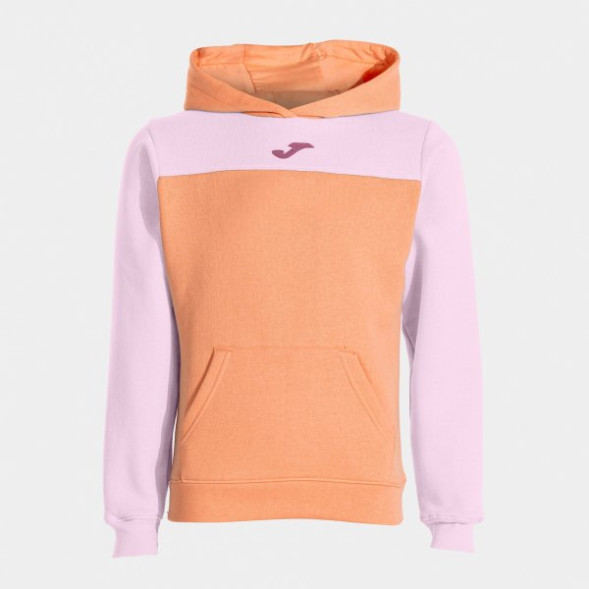 SUDADERA CON CAPUCHA PARK    