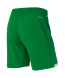 Шорты игровые JOGEL DIVISION PerFormDRY Union Shorts, зеленый, детский