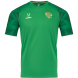 Футболка вратарская JÖGEL NATIONAL PerFormDRY GK Jersey, зеленый