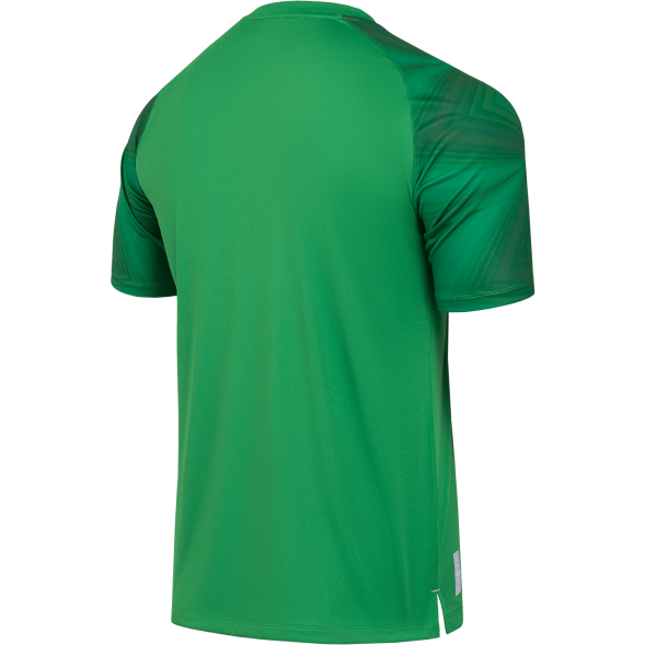 Футболка вратарская JÖGEL NATIONAL PerFormDRY GK Jersey, зеленый