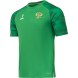 Футболка вратарская JOGEL NATIONAL PerFormDRY GK Jersey, зеленый