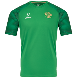 Футболка вратарская JOGEL NATIONAL PerFormDRY GK Jersey, зеленый