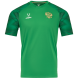 Футболка вратарская JOGEL NATIONAL PerFormDRY GK Jersey, зеленый