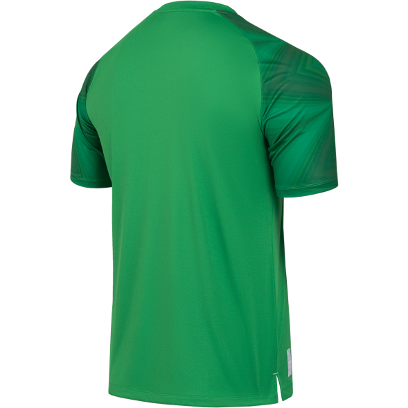 Футболка вратарская JOGEL NATIONAL PerFormDRY GK Jersey, зеленый