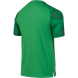 Футболка вратарская JOGEL NATIONAL PerFormDRY GK Jersey, зеленый
