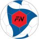 Футбольный мяч FN Football Ball