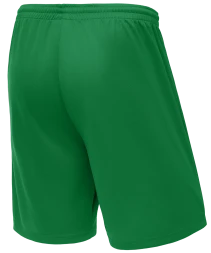 Шорты баскетбольные JOGEL CAMP Basic, зеленый, детский