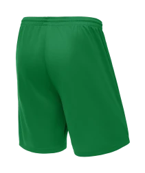 Шорты баскетбольные JOGEL CAMP Basic, зеленый, детский