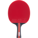 Ракетка для настольного тенниса DOUBLE FISH CK-205, 1 ракетка с сумкой-чехлом