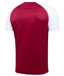 Футболка игровая JOGEL CAMP Reglan Jersey, гранатовый/белый