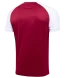 Футболка игровая JOGEL CAMP Reglan Jersey, гранатовый/белый
