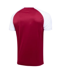 Футболка игровая JOGEL CAMP Reglan Jersey, гранатовый/белый