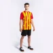 Футболка игровая JOMA PERFORMANCE