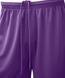 Шорты баскетбольные JOGEL CAMP Basic, фиолетовый, детский