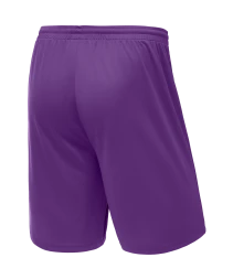 Шорты баскетбольные JOGEL CAMP Basic, фиолетовый, детский