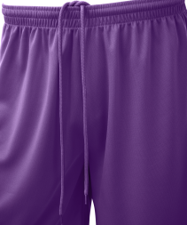 Шорты баскетбольные JOGEL CAMP Basic, фиолетовый, детский