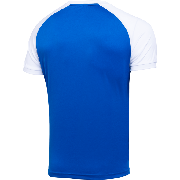 Футболка игровая JÖGEL CAMP Reglan Jersey, синий/белый