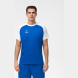 Футболка игровая JÖGEL CAMP Reglan Jersey, синий/белый